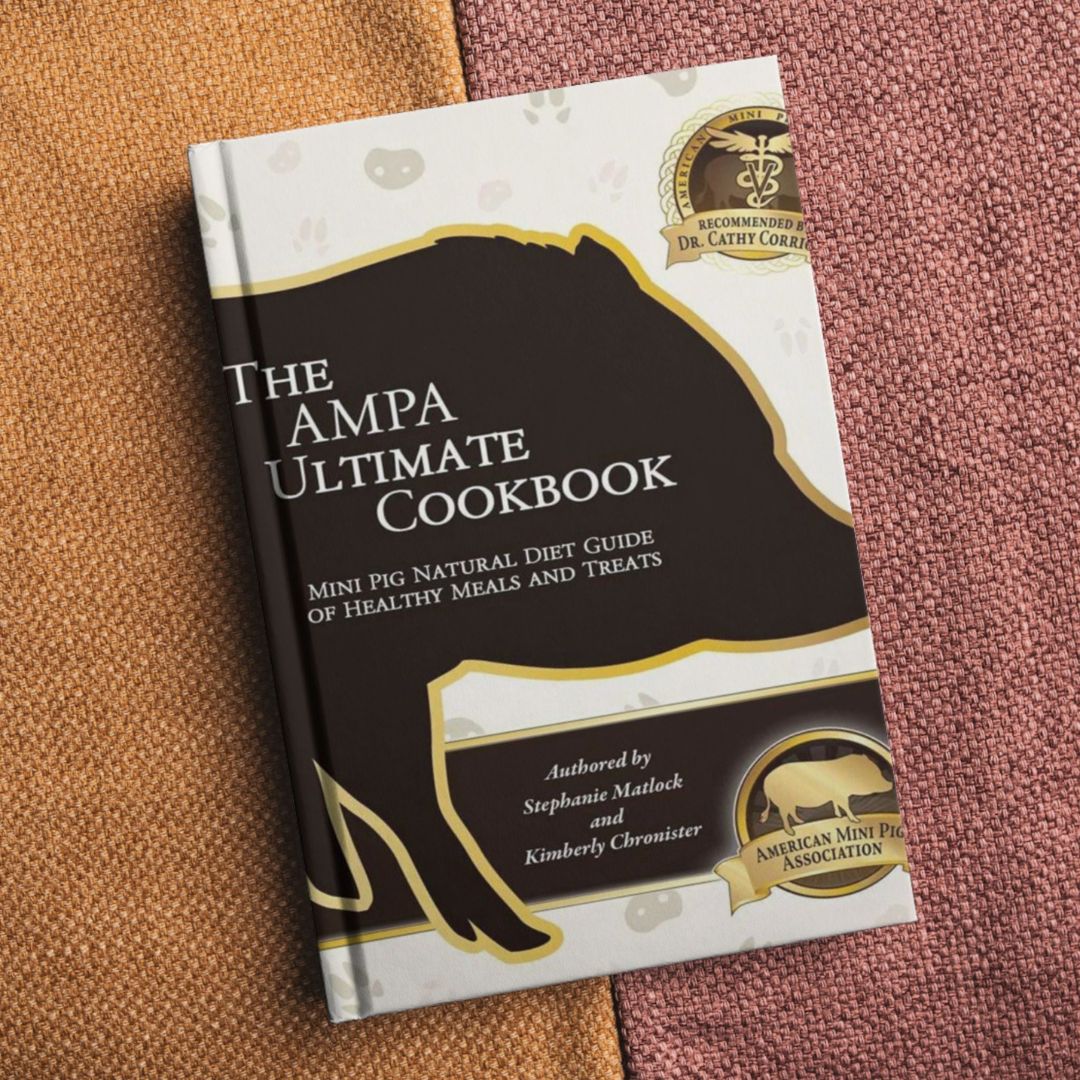 AMPA Ultimate Cookbook