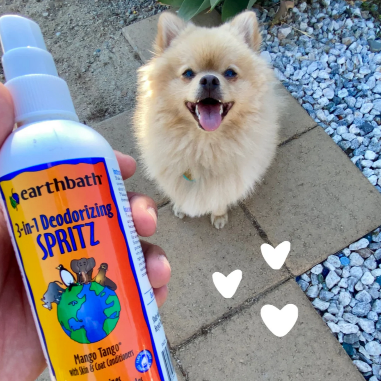 earthbath 3-in-1 Deodorizing Spritz