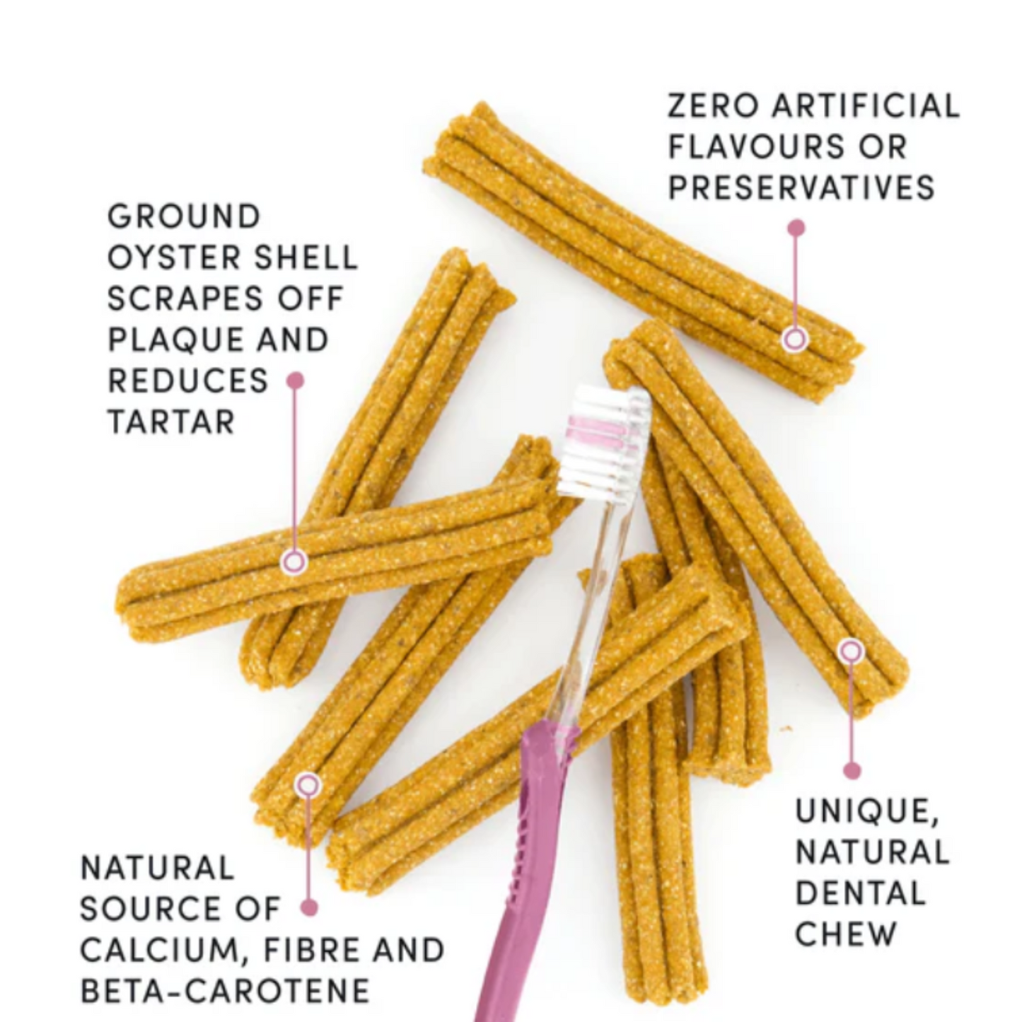 Plaque Busters Original Dental Treats