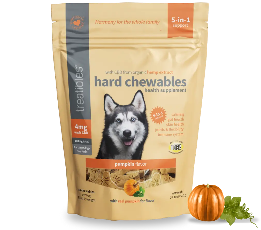 Treatibles Hard Chewables — Pumpkin