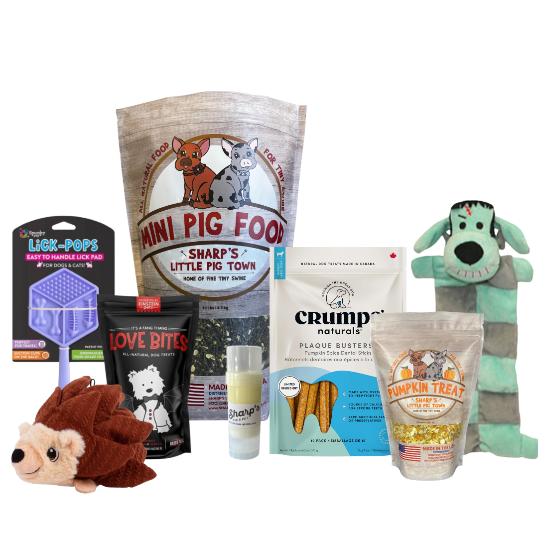 Halloween BOO Basket