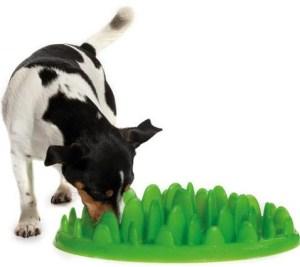 The Company of Animals GREEN INTERACTIVE FEEDER