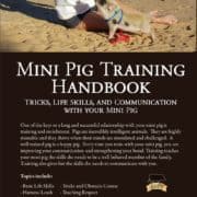Mini Pig Training Handbook