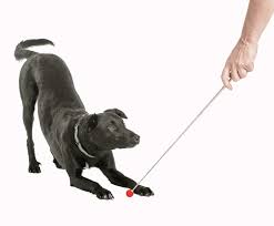 Target Stick