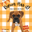 Rumor Has It! Pizza Slices Treats