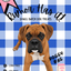Rumor's Doggy Bag