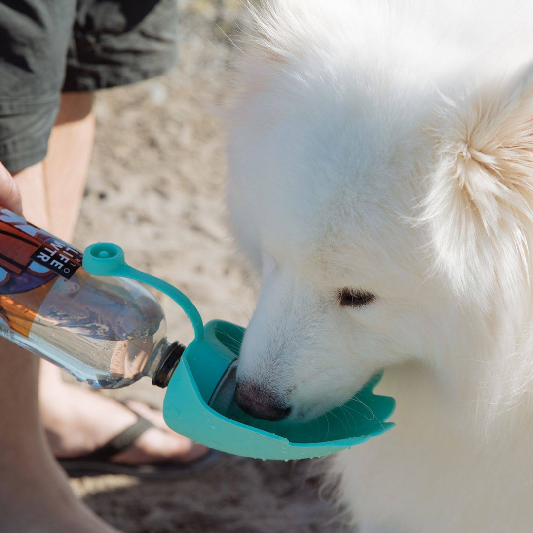 HydroSMART Flex Portable Dog Water Bowl