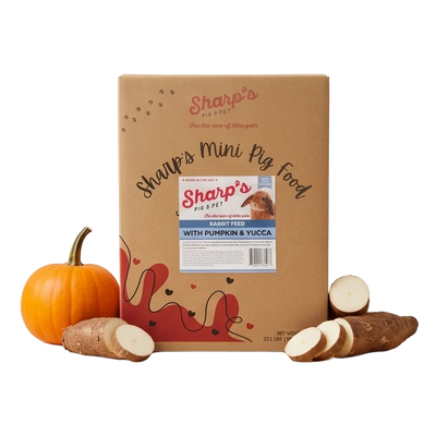 Sharp's Rabbit With Pumpkin and Yucca