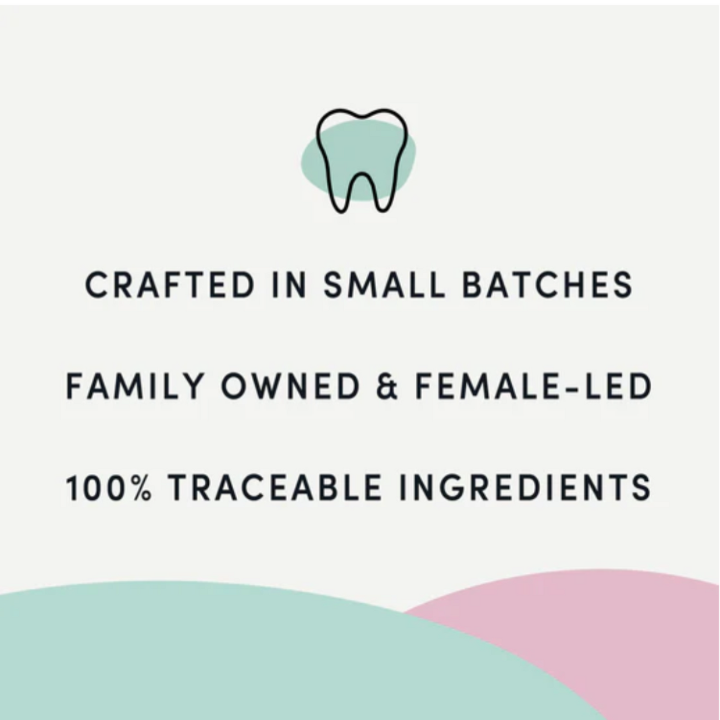Plaque Busters Original Dental Treats