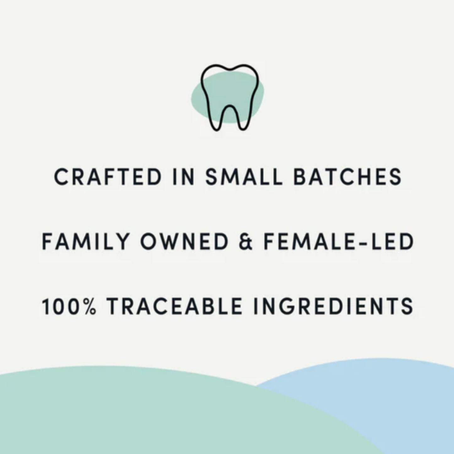 Plaque Busters Pumpkin Spice Dental Treats