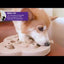 Outward Hound Hide N Slide