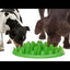 The Company of Animals GREEN INTERACTIVE FEEDER