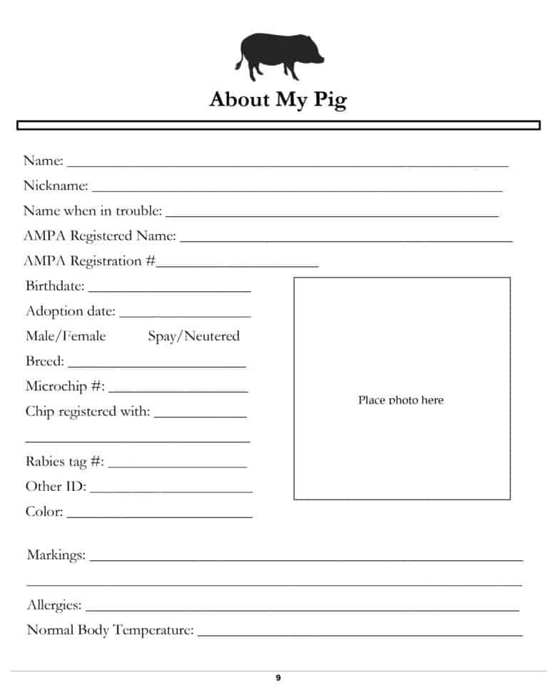 The American Mini Pig Planner; Your Workbook for Organizing all of Your Mini Pig’s Important Information